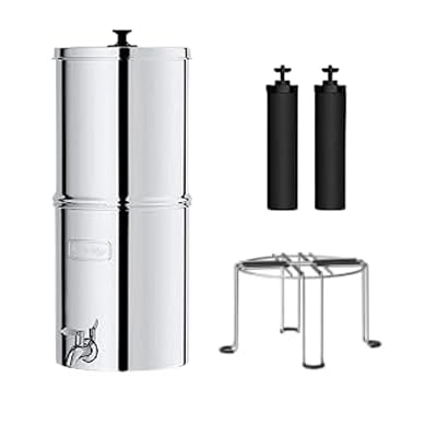 Waterdrop Gravity-fed Water Filter System, 2.25-Gallon Stainless-Steel Filter System, with 2 Filters, Metal Spigot and Stand, Reduces up to 99% of Chlorine & Bad Taste-King Tank Series