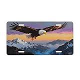 LHUAIKI Bald Eagle Snow Mountain Sky Front License Plate Car Decorative License Plates Aluminum Metal Decor Accessory Novelty Vanity Tag Cover with 4 Holes for Men Women 6