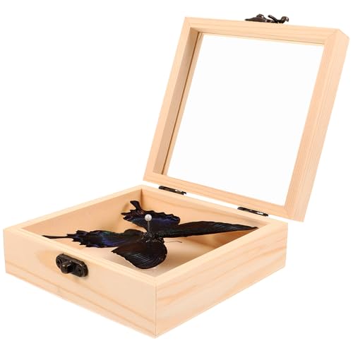 Veemoon Juego de Mariposas Disecadas con Caja de Madera Transparente Decoración para Hogar y Oficina Marco para Fotos de Especímenes Adorno Educativo y Exhibidor de Insectos