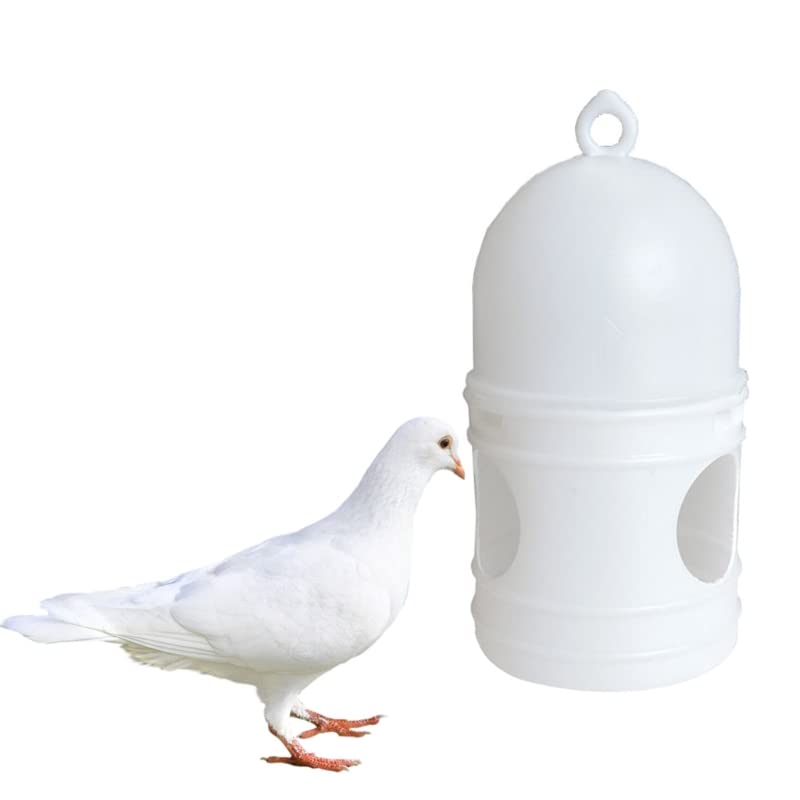 Abreuvoir pigeons portable pour garder vos oiseaux hydratés au jardin