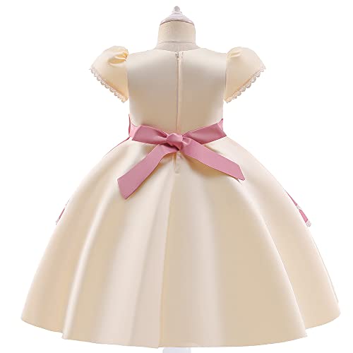 Baby Girls Dress Toddler Flower Girl Dresses Birthday Party Princess Dresses Sleeveless Tutu Pageant Dress2