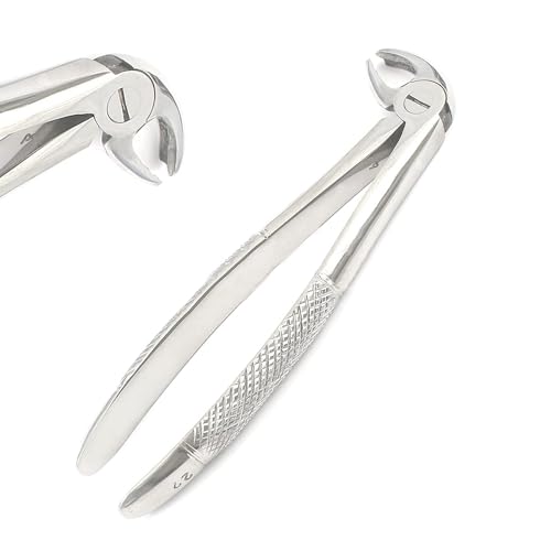 PC EXTRACTING Forceps #22 English Pattern Dental Instruments