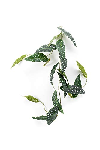 artplants.de Fake trout begonia garland JOELLE, green-white, 30cm - Hanging faux plant/Artificial Polka Dot Begonia
