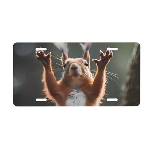 Squirrel Funny Animal License Plate, Decorative Car...
