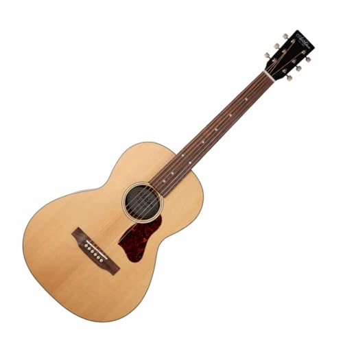 Amazon | Art & Lutherie (アートアンドルシアー) エレアコ