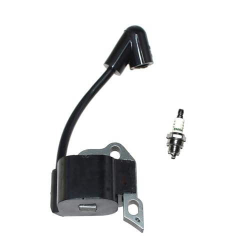 Bobine d'allumage pour RY10519A RY10520 OEM 309261001
