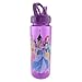 Silver Buffalo DP0164 Disney Princesses Tritan Water Bottle, 20-Ounces