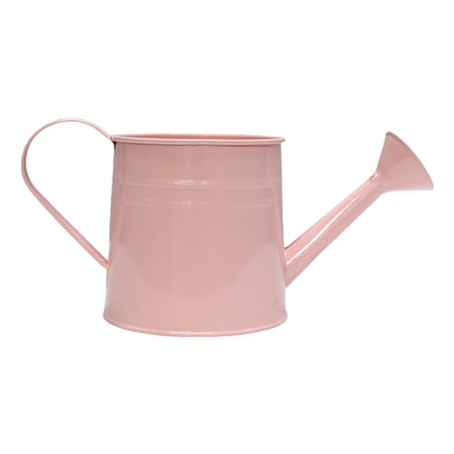 Oxxggkao French Country Styles - Maceta de hierro funcional con aspecto vintage, regadera de jardín para amantes de las plantas, cubo decorativo