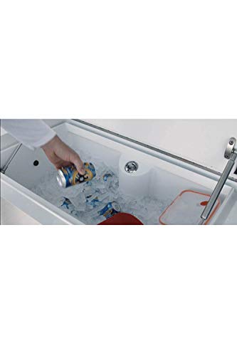 Bansbach Easylift Stainless Steel Gas Spring - Hydraulic Tools & Accessories, Heavy Duty, Standard, Model H0N0N42-410-862-335N, Length 862Mm, Stroke 410Mm, Force 335N (75Lbs) #TOP7