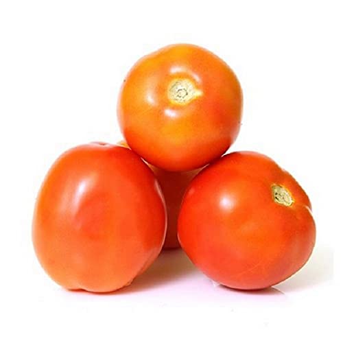 Tomato UAE 500 g Approx.