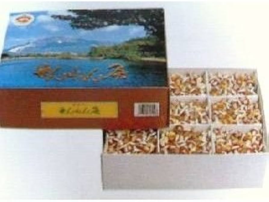 せんねん灸　しょうが灸八景　業務用　1800個入り Amazon.co.jp: せんねん灸オフ＜徳用品＞ 八景 (しょうがきゅう) 1800