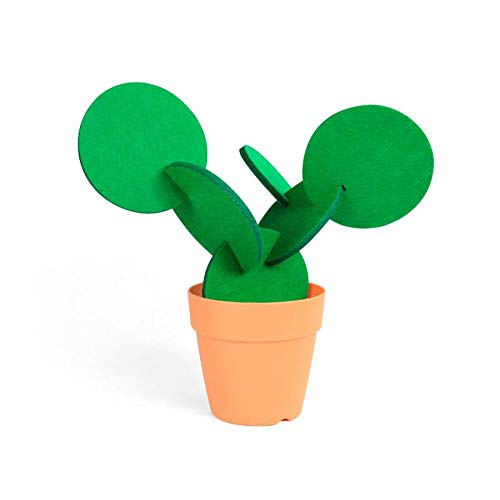 Cactus para Regalar en Bodas