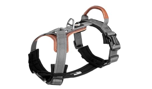 pn[lX I^ 4w\ hnh ˍ ߉\ ʋC UEg[jOp ^E^E^Ή (O[,S)