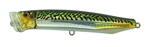Leurre Feed Popper 120 Tackle House pour les chasses de bar en mer