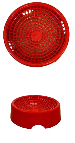 See full amazon price history chart for Pigeon Egg Bowl - Set of 5 Piece, Size: (24X6.5 cm) (LXH), Pigeon Breeding Nest Bowl for Hatching Eggs, Suitable for Pigeon - (Red) Pigeon Egg Bowl - Set of 5 Piece, Size: (24X6.5 cm) (LXH), Pigeon Breeding Nest Bowl for Hatching Eggs, Suitable for Pigeon - (Red) (B0B65J4LBF) Amazon Price History, Amazon Price Tracker