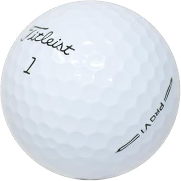 LostGolfBalls - 24 Titleist Pro V1 Golf Balls in Good Condition, AAA Quality, Recycled Used Golf Balls, On The #1 Ball in Golf, White