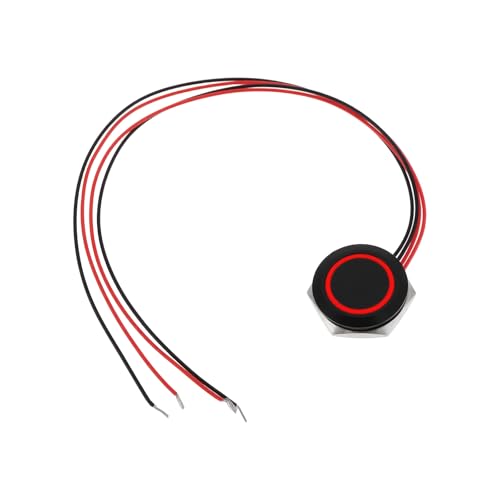 The Lord of the Tools Interruptor pulsador de 19 mm con reinicio automático DC12V para panel de botones de timbre de bocina de coche (rojo)