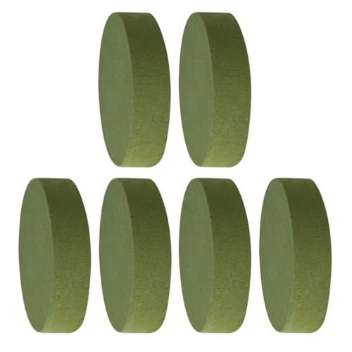 LIFKOME 6 Piezas de Barro Floral Redondo para Arreglos, Absorción de Agua Fuerte, Material Sintético Fácil de Usar, Adecuado para Proyectos de Arte Floral