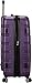Rockland Melbourne Hardside Expandable Spinner Wheel Luggage, Purple, Checked-Medium 24-Inch