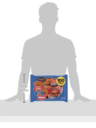 HERSHEY'S Snack Size Candy Assortment, 36.9 Ounce Bag (100 Pieces)