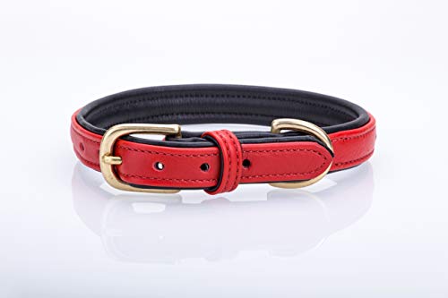 Collier chien cuir rouge Swarovski : offrez-lui le plus beau des bijoux - 4