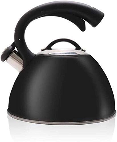 Wasserkocher Schwarz Camping Gas 2,5L Induktion Kochfelder Gas Keramik Edelstahl für Zuhause Camping