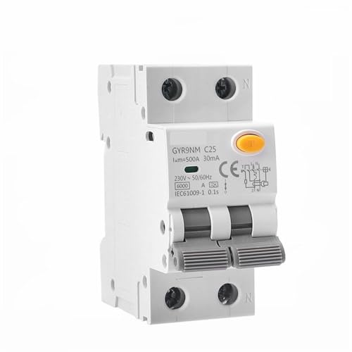 RCBO 2P Type A disjoncteur magnétique à courant résiduel 10A 30mA GYR9NM