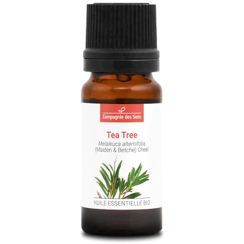 ARBOL DE TÉ - 10 mL - Aceite Esencial Orgánico de Calidad Superior - 100% Puro, Natural, Quimiotipado y Certificado AB