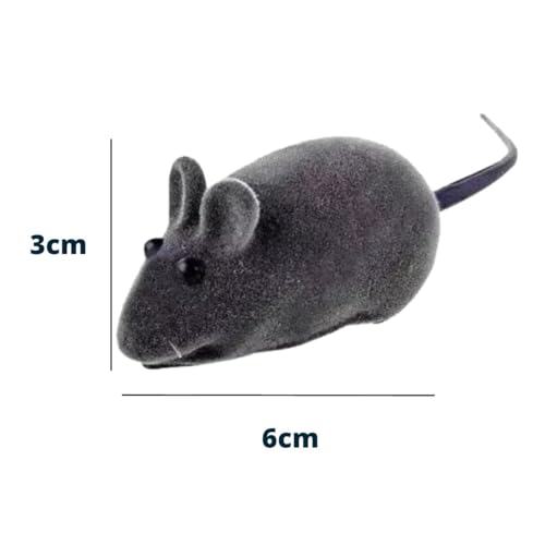 KIT Brinquedo Kong para Gato Varinha Premium E Brinquedinho