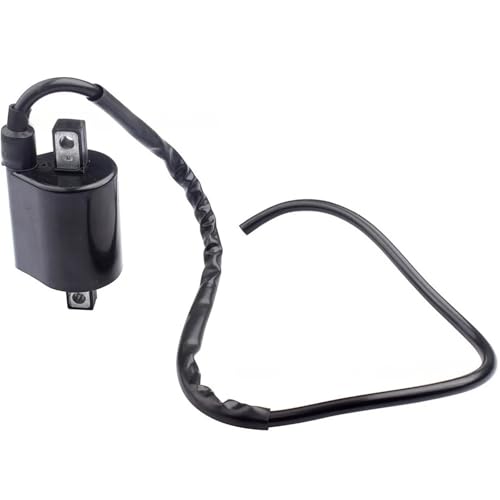 Bobina de encendido para motocicleta para restaurar el encendido de Virago XV535 2