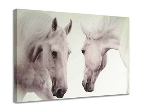 July Home Decoration Canvas Print Wall Art，White Horse Pictures Office Farmhouse Animal Canvas