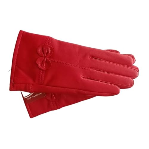 Gants pour dames parfaits pour la conduite et les sorties de style