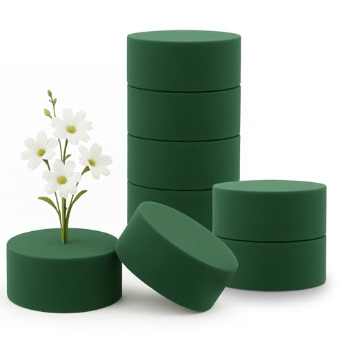 Minfuerang 8 Pezzi Schiuma Floreale 8x4 cm, Cilindro in Spugna