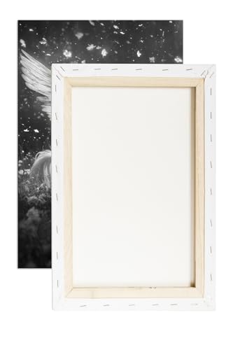 Cheval ailé deyoli tableau noir et blanc 90x60cm décoration fleurs