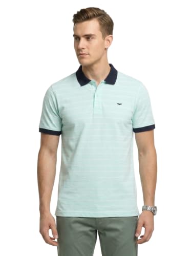 Image of Park Avenue Men Slim Fit Stripe Pattern Pure Cotton Polo Neck Half Sleeve Casual T-Shirt