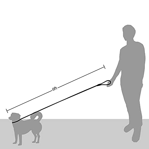 Friends Forever Extremely Durable Dog Rope Leash, Premium Quality Training Slip Lead, Reflective, Thick Heavy Duty… - Image 7