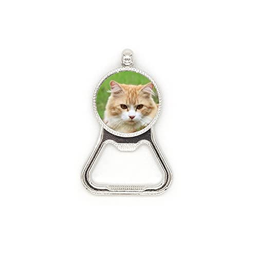 Décapsuleur chat jaune en acier inoxydable robuste pour vos bouteilles