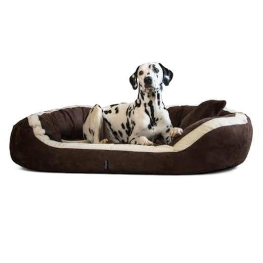 BedDog® Hundebett LUPI, Hundesofa aus Cordura, Microfaser-Velours, waschbares Hundebett mit Rand, Hundekissen Vier-eckig, für drinnen, draußen, XXL, The-Rock, schwarz-grau 7 tierlando Pepper Orthopädisches Hundebett Hundesofa VISCO XL Velours Mega Dick & Weich Braun 135cm XL Velours MEGA DICK & WEICH