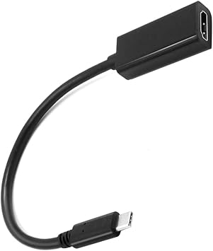 Style C to 4K with DisplayPort Small DP Adaptor for MacBook Chrome Book