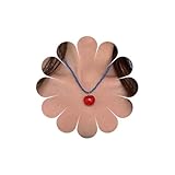 Sttiafay Gargantilla de cuentas de semillas, collar de cuentas de arroz pequeñas, gargantilla de cuentas azules, collar con colgante de tomate, bonitos collares de tomate de frutas, joyería para mujer