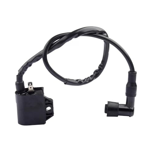 Bobine d'allumage moto résout ratés de démarrage ATV LTA400 33410-41D20