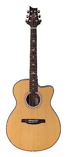 SE A40E Tobacco Burst
