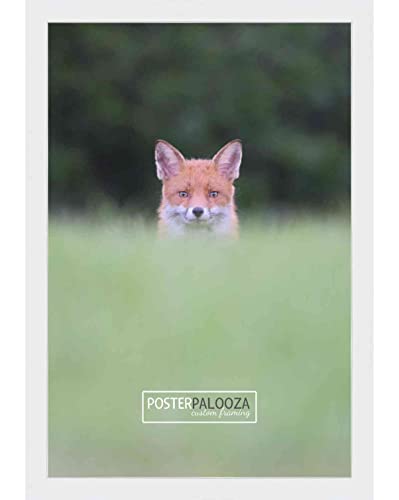 Poster Palooza 9X11 Contemporary White Wood Picture Frame - Uv Acrylic, Foam Board Backing, & Hanging Hardware Included! #TOP2