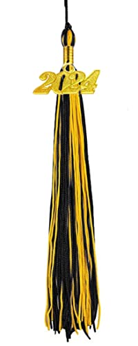 HEPNA Black and Gold Graduation Tassels 2024,Honor Tassels for Graduation Photography
