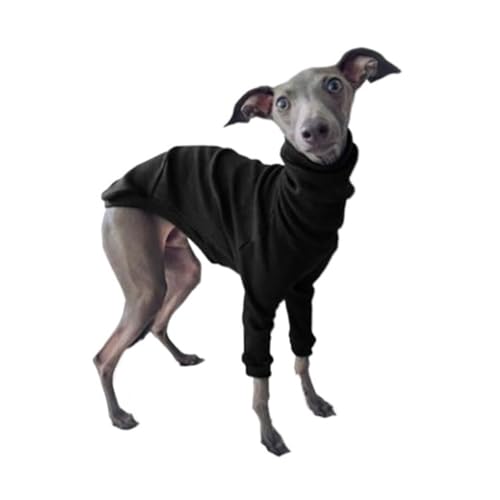 n^[glbNC^AO[nEh nClbNut2EBybgWvX[c KȃybgpW[Ap(Black,X-Large)