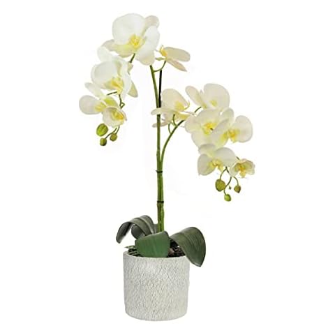 Artificial Orchid Plant - Double Stem Centerpiece Arrangement (White) Cover