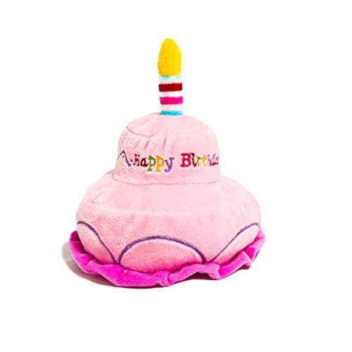 Midlee 2 Layer Birthday Cake 7