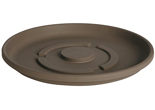 BloemTerratray 8 in. Dia. Resin Peppercorn Tray