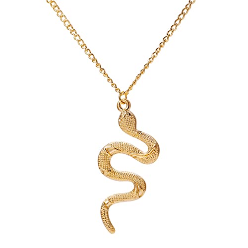 Yienate Collier serpent Medusa - Chaîne esthétique - Collier cobra - Cadeau pour homme et femme,...