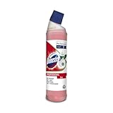 Domestos Professional